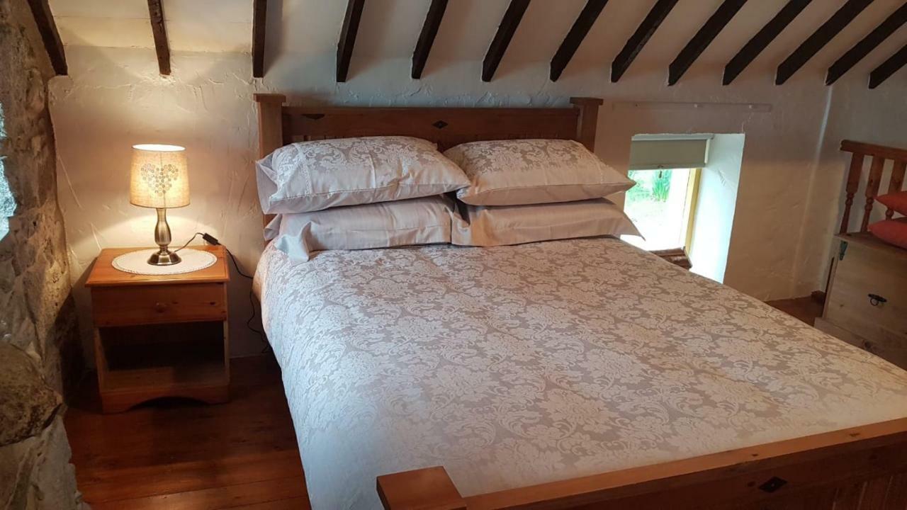 Stunning Views At Ballagh Cottage Newcastle Newcastle  Ngoại thất bức ảnh