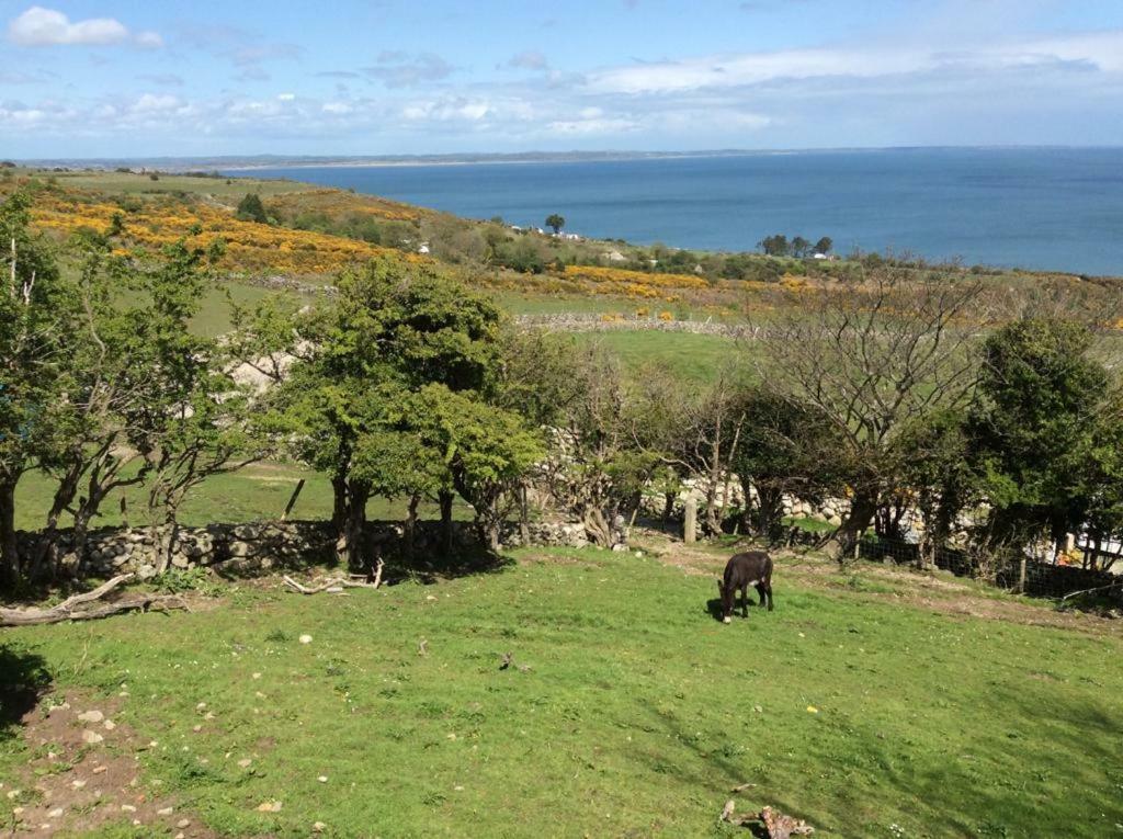 Stunning Views At Ballagh Cottage Newcastle Newcastle  Ngoại thất bức ảnh